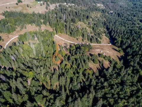 Prodaja, plac, 184880m², Žabljak, Crna Gora - image 10