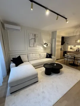 Izdavanje, dvosoban stan, 52m², Savski Venac, Beograd - image 9