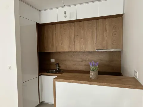 Izdavanje, jednosoban stan, 45m², City Kvart, Podgorica - image 11