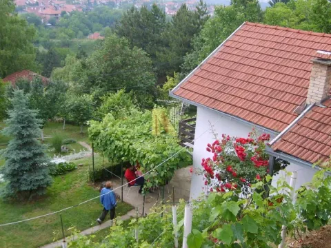 Pogled odozgo na dvorište i kuću sa krovom od crepa. - image 3