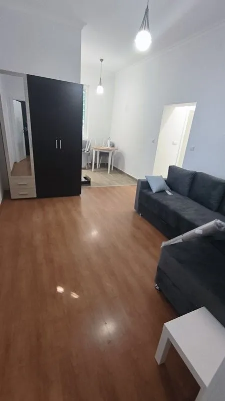 Izdavanje, dvosoban stan, 32m², Zvezdara Sve Podlokacije, Beograd