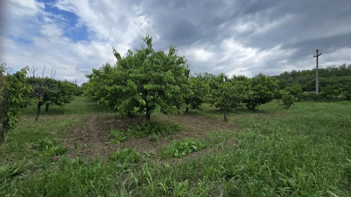 Prodaja, plac, 1100m², Ritopek, Grocka