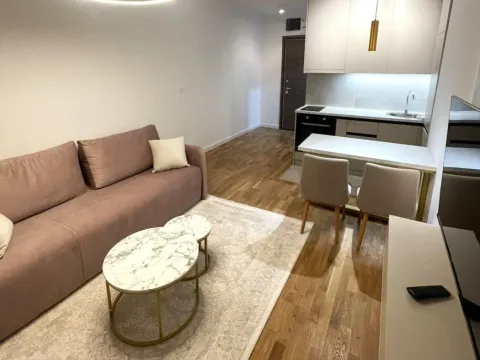 Rent, apartment, 27m², Zabjelo, Podgorica - image 2