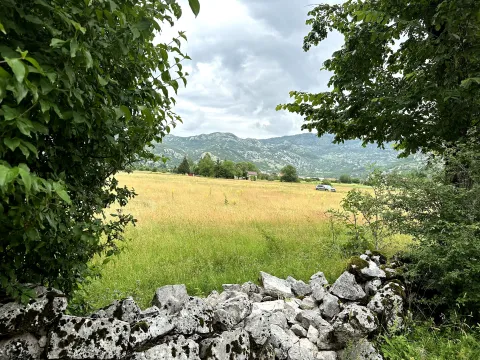 Prodaja, plac, 12000m², Grahovo, Nikšić - image 2