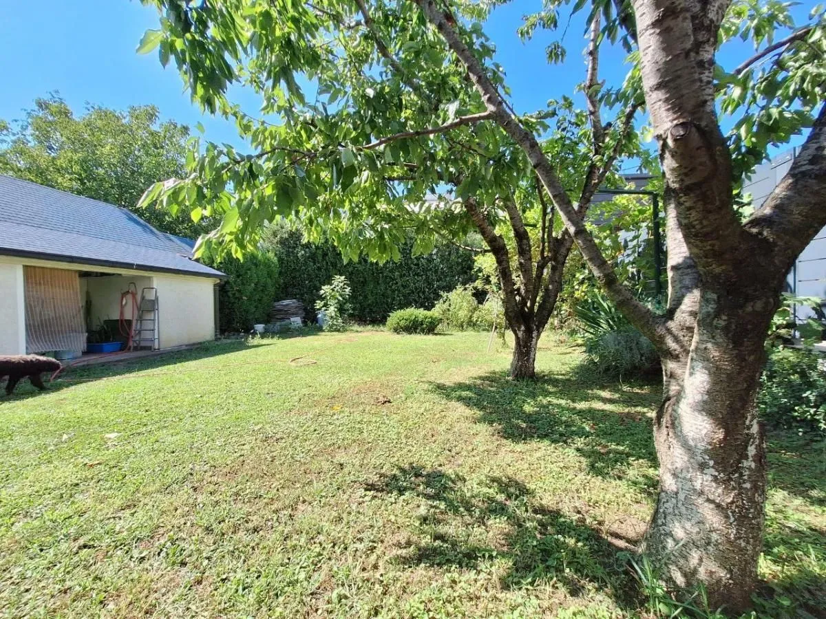 Sale, house, 253m², Adice, Novi Sad Sve Podlokacije