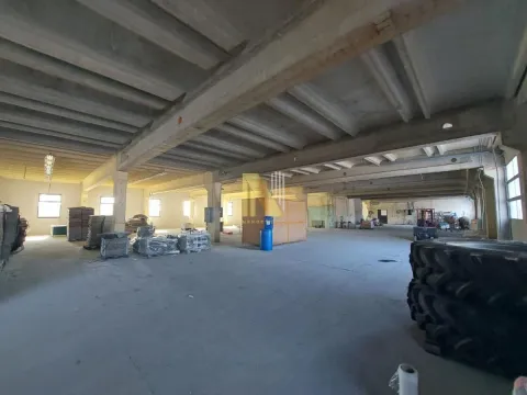 Rent, office space, 1500m², Klisa, Novi Sad Sve Podlokacije