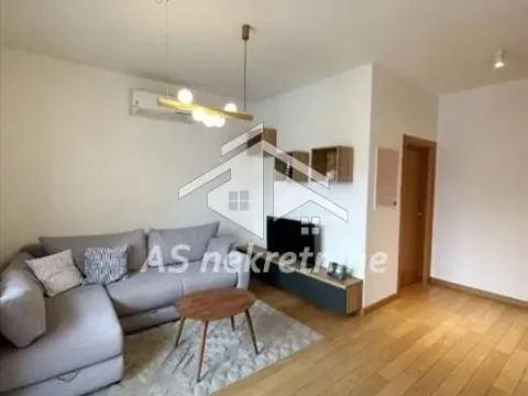 Izdavanje, dvosoban stan, 55m², Južni Bulevar, Vračar Sve Podlokacije - image 3
