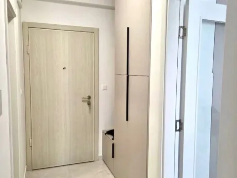 Izdavanje, jednosoban stan, 45m², Zabjelo, Podgorica - image 8