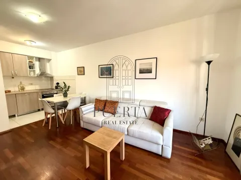 Rent, one bedroom apartment, 45m², Stari Aerodrom, Podgorica - image 2