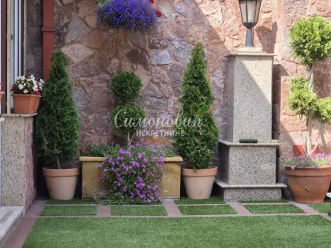 Prodaja, kuća, 830m², Savski Venac, Beograd - image 4