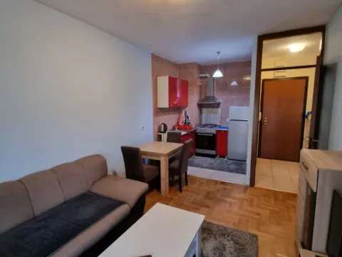 Izdavanje, jednosoban stan, 40m², Stari Aerodrom, Podgorica - image 2