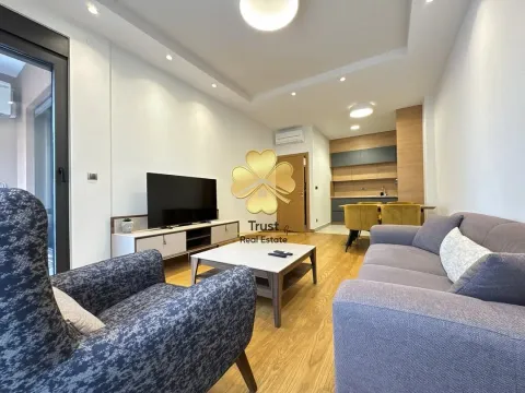 Izdavanje, jednosoban stan, 55m², Kruševac, Podgorica - image 2