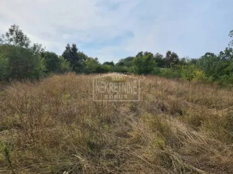 Prodaja, kuća, 150m², Mladenovac, Beograd - image 15