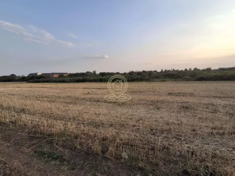 Pogled na prostrano poljoprivredno zemljište sa rastinjem u pozadini. - image 2