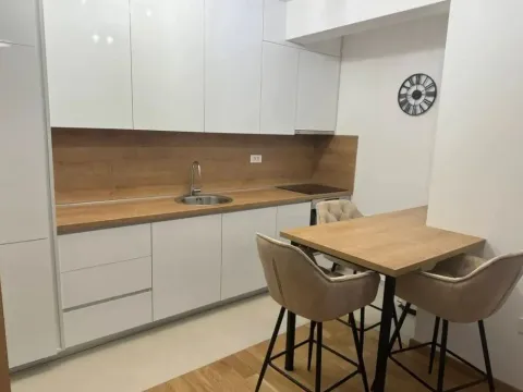 Izdavanje, jednosoban stan, 47m², City Kvart, Podgorica - image 2