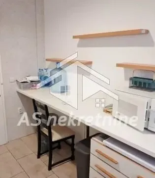 Izdavanje, kuća, 500m², Profesorska Kolonija, Palilula Sve Podlokacije - image 7