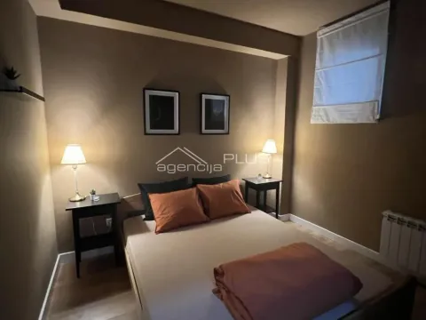 Izdavanje, dvosoban stan, 49m², Crveni Krst, Beograd - image 8