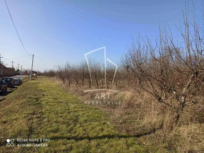 Prodaja, plac, 56800m², Barajevo, Beograd