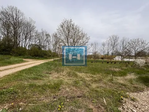 Sale, house, 302m², Kočino Selo, Jagodina - image 3