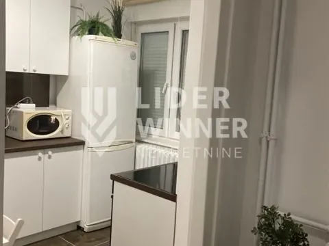 Izdavanje, dvosoban stan, 50m², Kalenić Pijaca, Vračar Sve Podlokacije - image 11