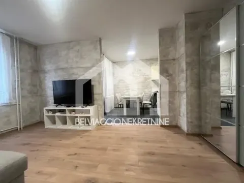 Izdavanje, dvosoban stan, 56m², Stari Grad, Beograd - image 4
