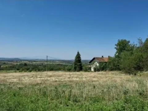 Sale, land lot, 10800m², Baničina, Smederevska Palanka - image 7