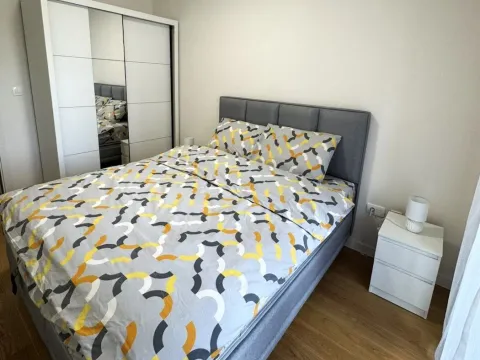 Izdavanje, stan, 49m², Central Point, Podgorica - image 7