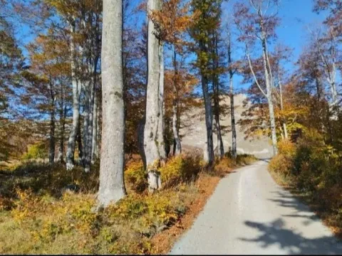 Prodaja, kuća, 119m², Pošćenski Kraj, Žabljak - image 11