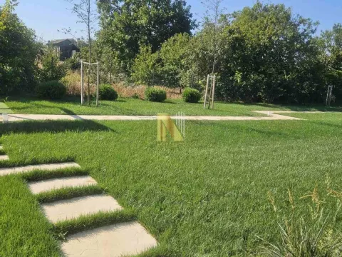 Sale, house, 380m², Belegiš, Stara Pazova - image 3