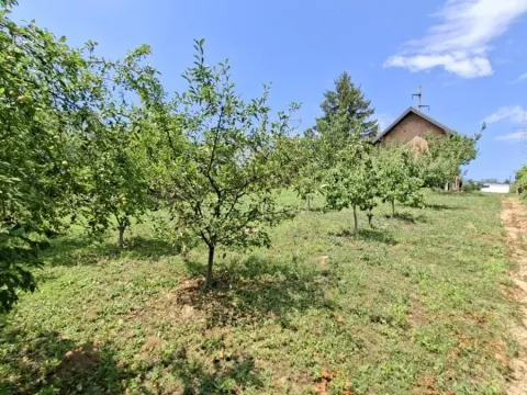 Prodaja, plac, 3000m², Bocke, Petrovaradin - image 12