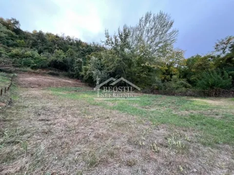 Pogled na plac sa zelenilom i drvećem. - image 6