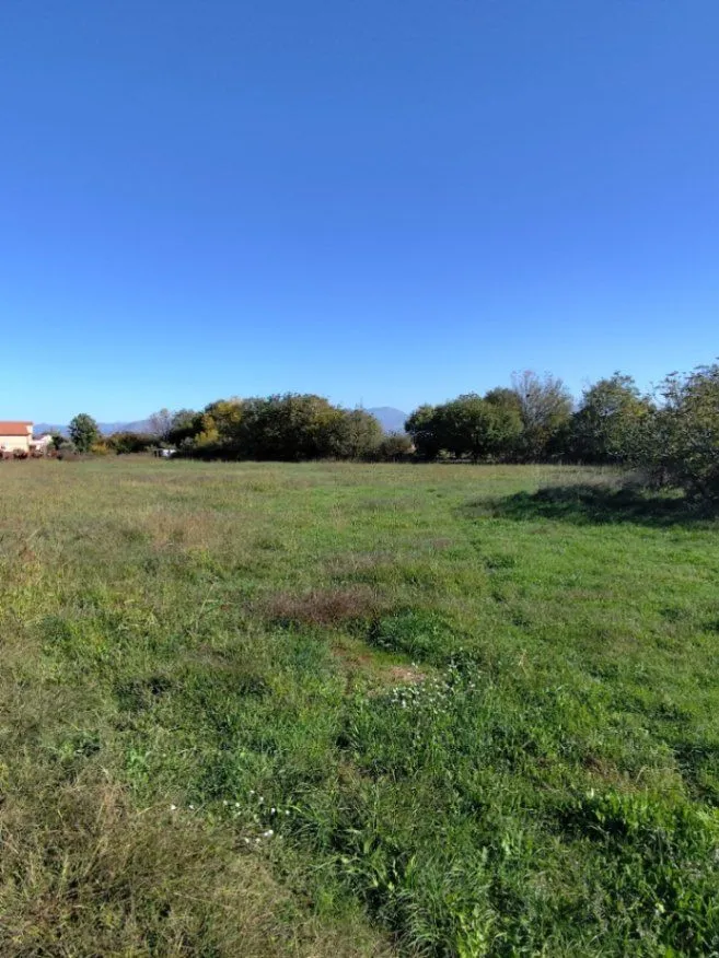 Prodaja, plac, 5872m², Beri, Podgorica