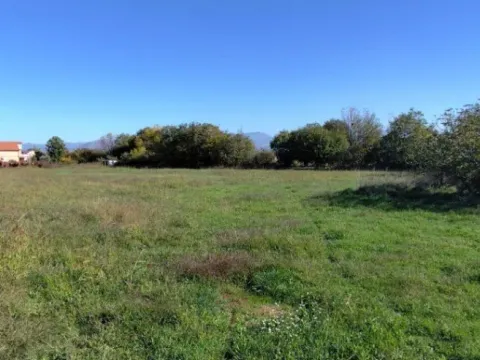 Sale, land lot, 5872m², Beri, Podgorica - image 7