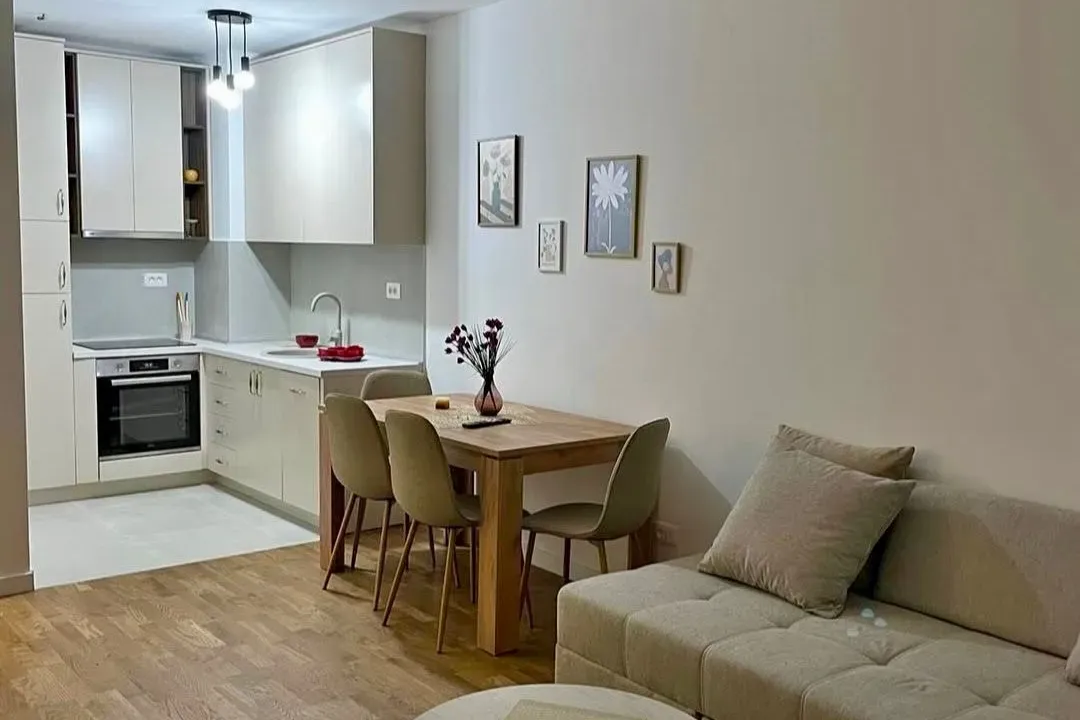 Izdavanje, jednosoban stan, 47m², Stari Aerodrom, Podgorica