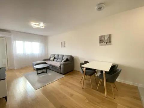 Rent, one bedroom apartment, 48m², Central Point, Podgorica - image 4