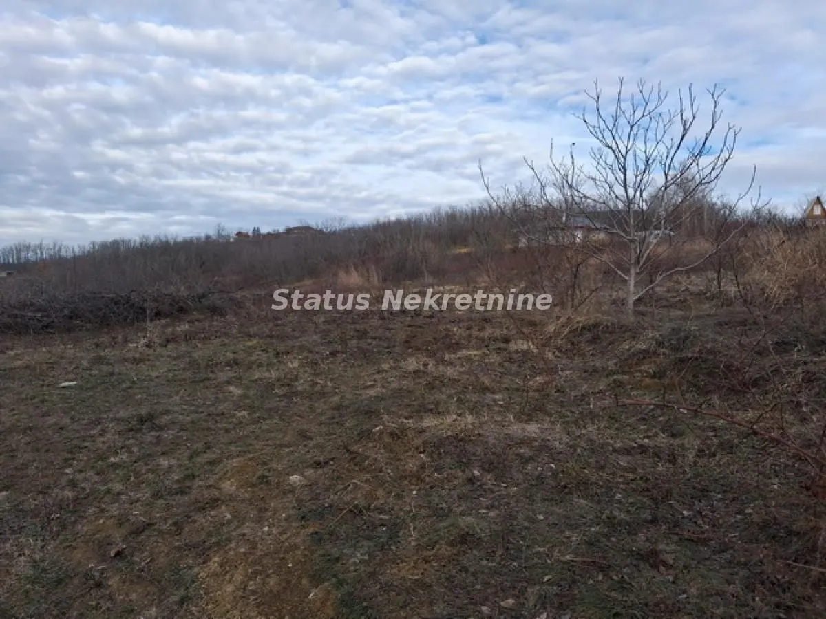 Prodaja, plac, 14994m², Ledinci, Petrovaradin