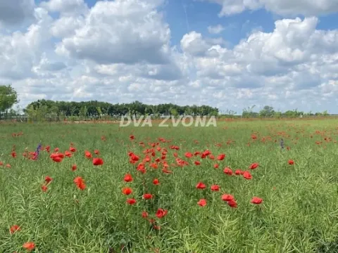 Sale, house, 37m², Čenej, Novi Sad Sve Podlokacije - image 18