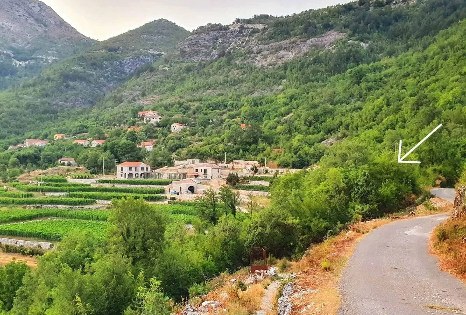 Prodaja, plac, 4400m², Cetinje, Crna Gora