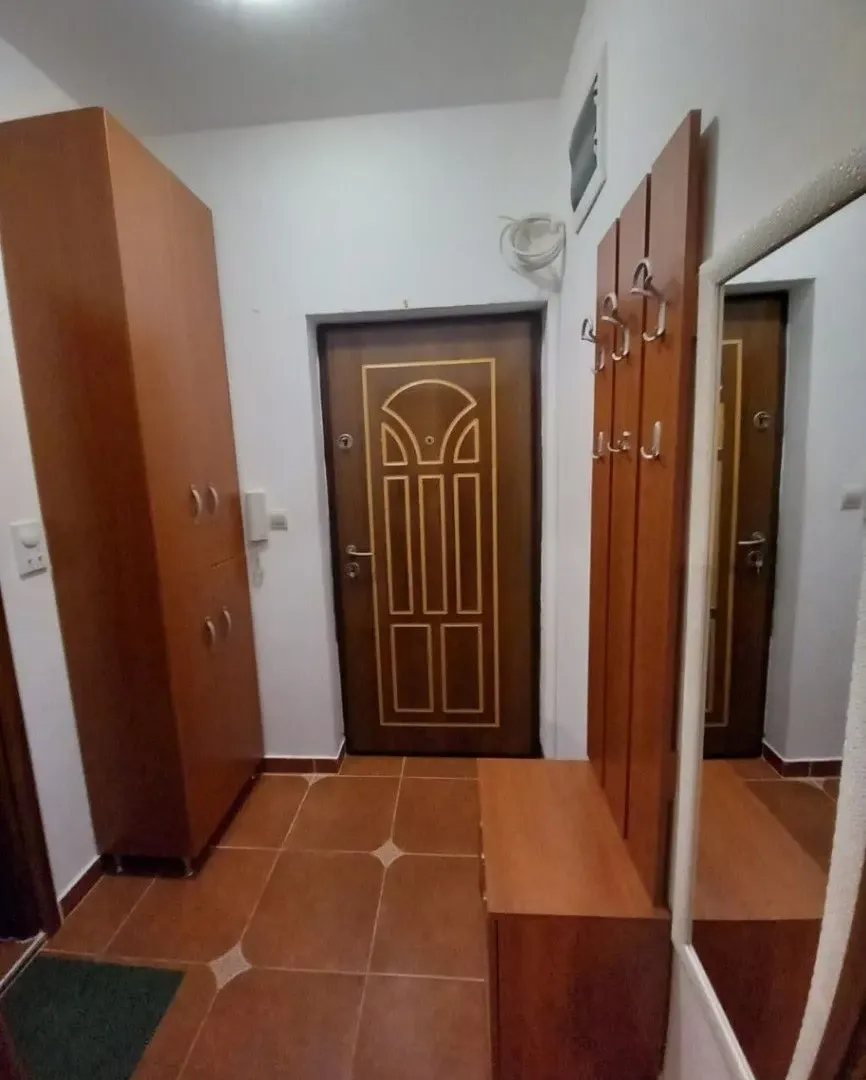 Daily-rent, studio apartment, 30m², Rozino, Budva