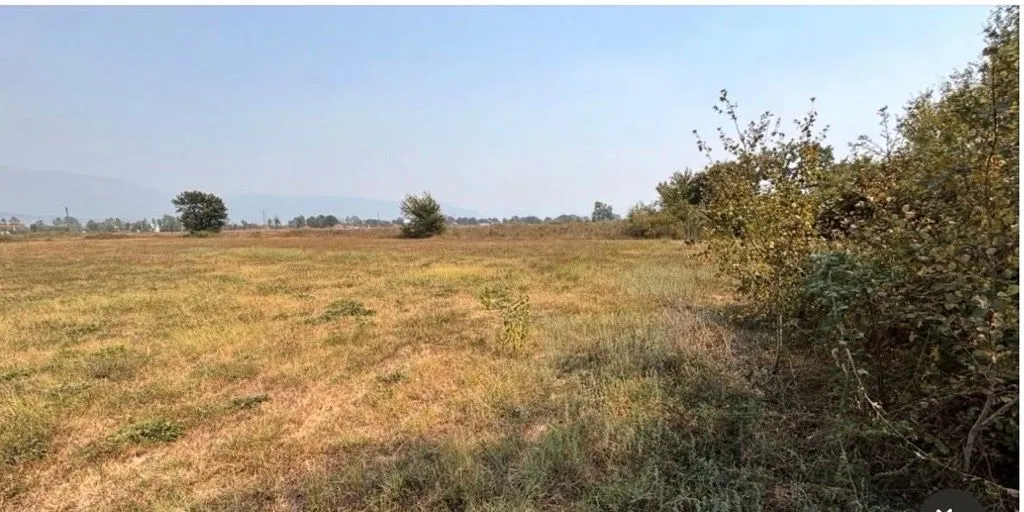 Pogled na ravno zemljište i livadu sa rastinjem.