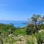 Prodaja, plac, 2200m², Stanišići, Budva - image 2