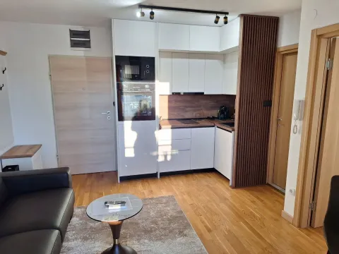 Daily-rent, one bedroom apartment, 36m², Centar, Podgorica - image 7