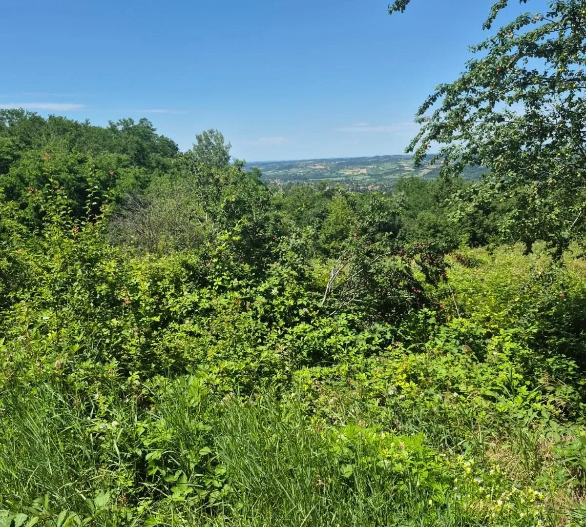 Sale, land lot, 11500m², Valjevo, Srbija