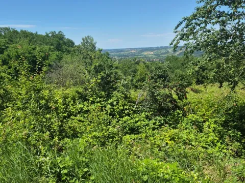 Sale, land lot, 11500m², Valjevo, Srbija - image 3