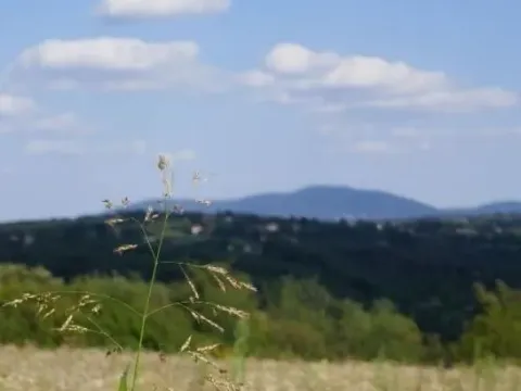 Sale, land lot, 6300m², Arnajevo, Barajevo - image 5