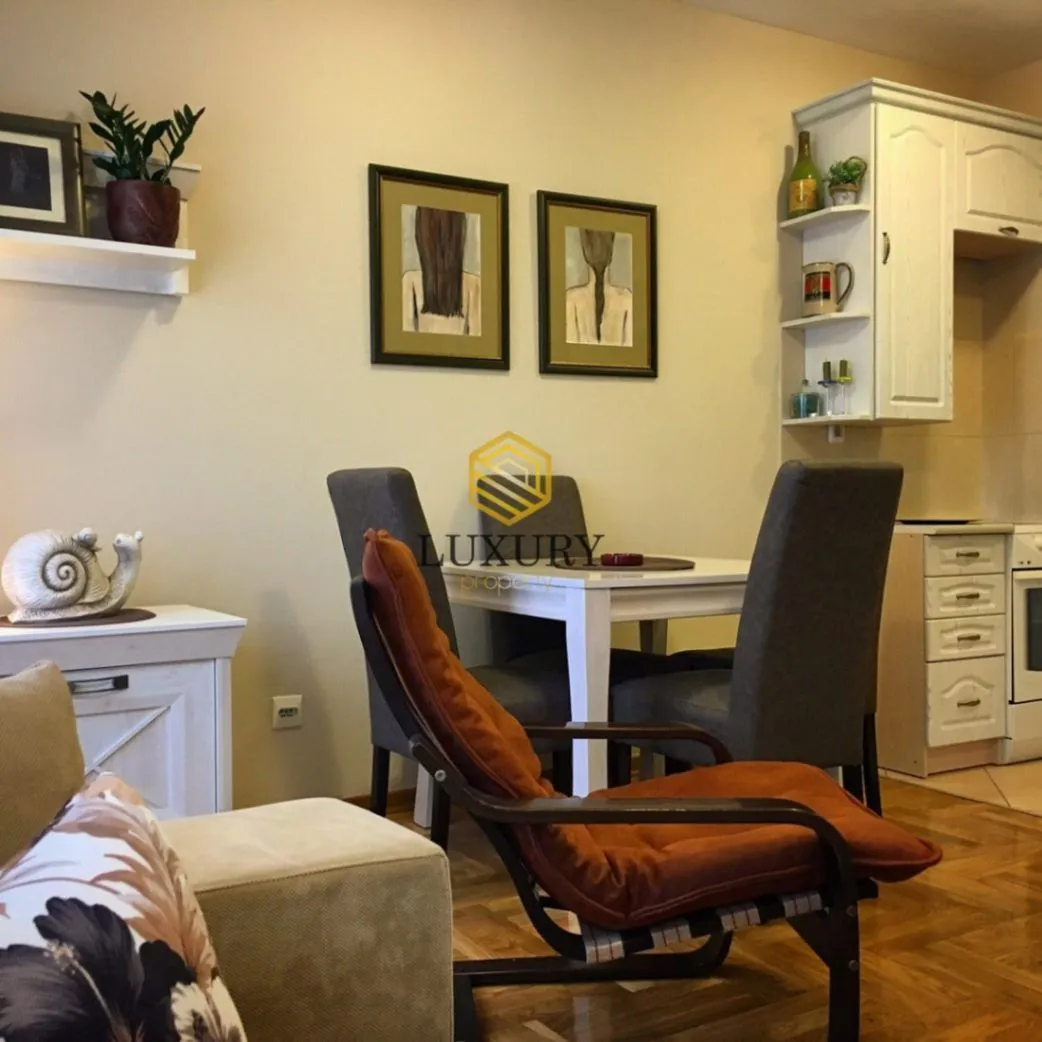 Izdavanje, jednosoban stan, 45m², Preko Morače, Podgorica