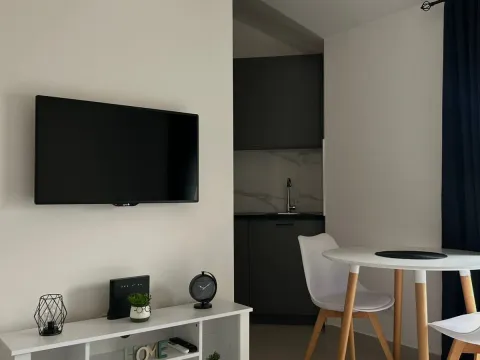 Rent, one bedroom apartment, 45m², Zagorič, Podgorica - image 2