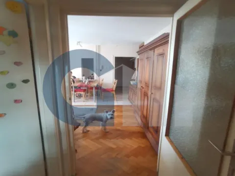 Prodaja, dvosoban stan, 70m², Tašmajdan, Palilula Sve Podlokacije - image 5