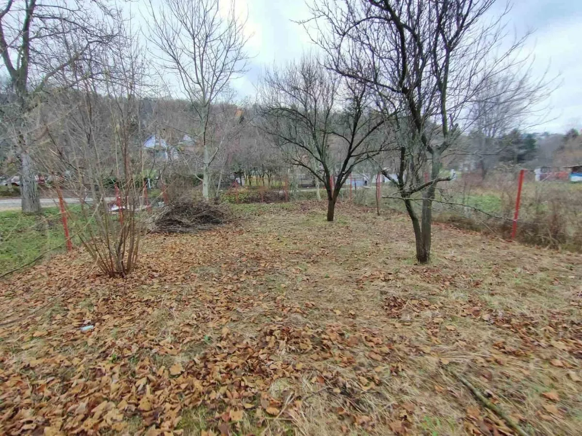 Prodaja, plac, 1000m², Sremska Kamenica, Petrovaradin