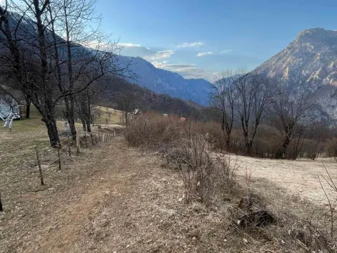 Prodaja, plac, 3500m², Nadgora, Žabljak - image 4